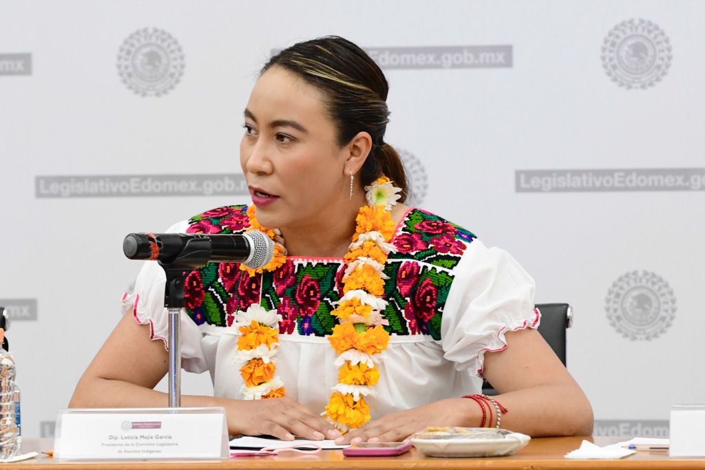 2021-10-26-representaran-leticia-mejia-y-braulio-alvarez-al-congreso-ante-el-cedipiem