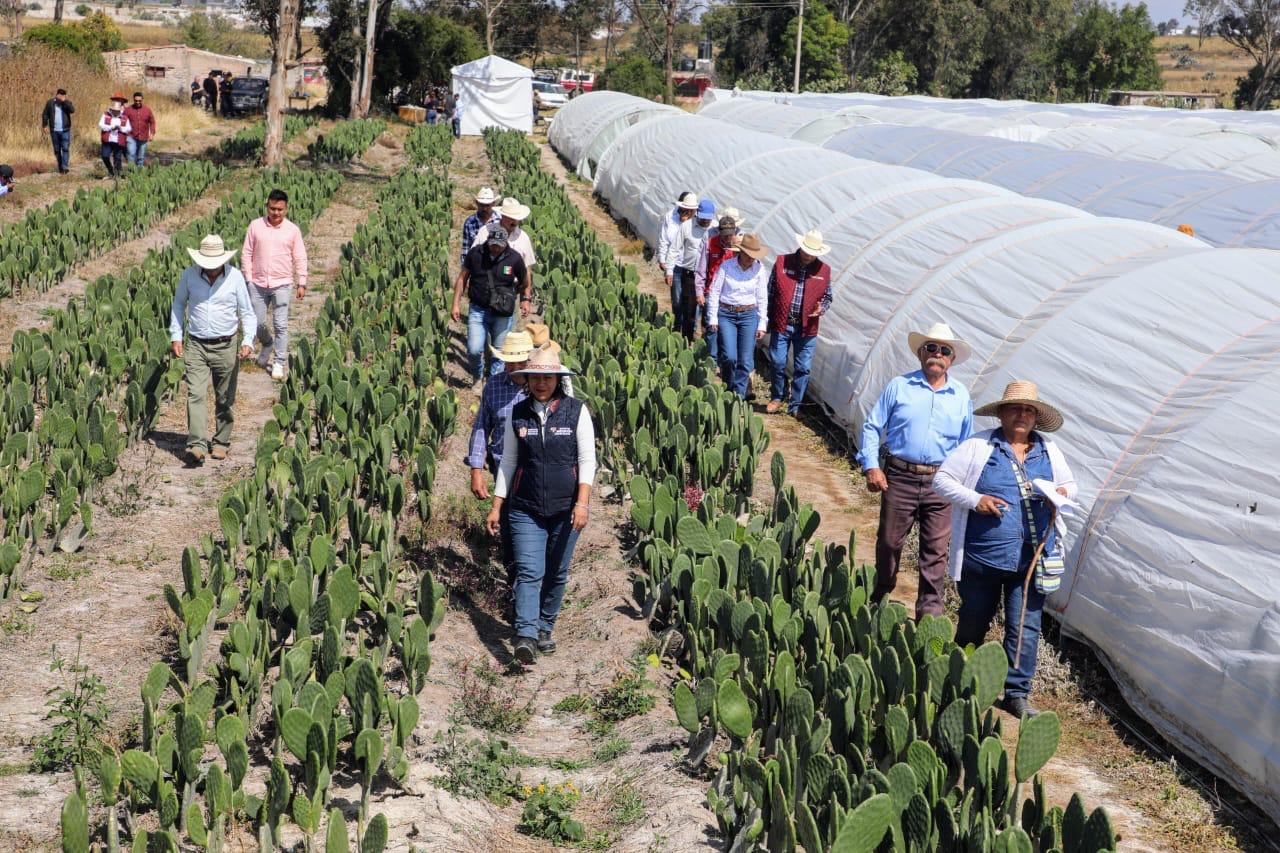 Garantizan agua a 70 familias de agricultores en Polotitlán con sistemas de captación