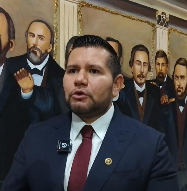 obligados-diputados-a-analizar-eleccion-judicial-en-edomex-para-lograr-mejoras-edgar-rios