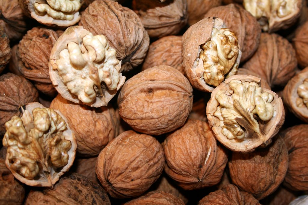 Fomentan el consumo de nueces para apoyar a personas vulnerables en Edomex