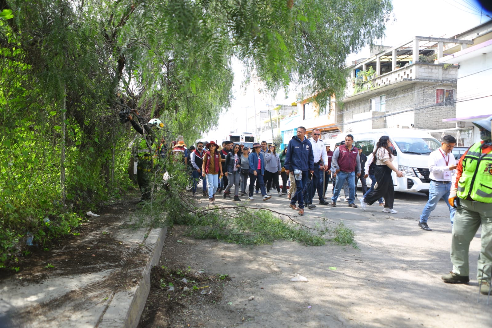 en-ecatepec-ya-no-se-criminaliza-podar-arboles
