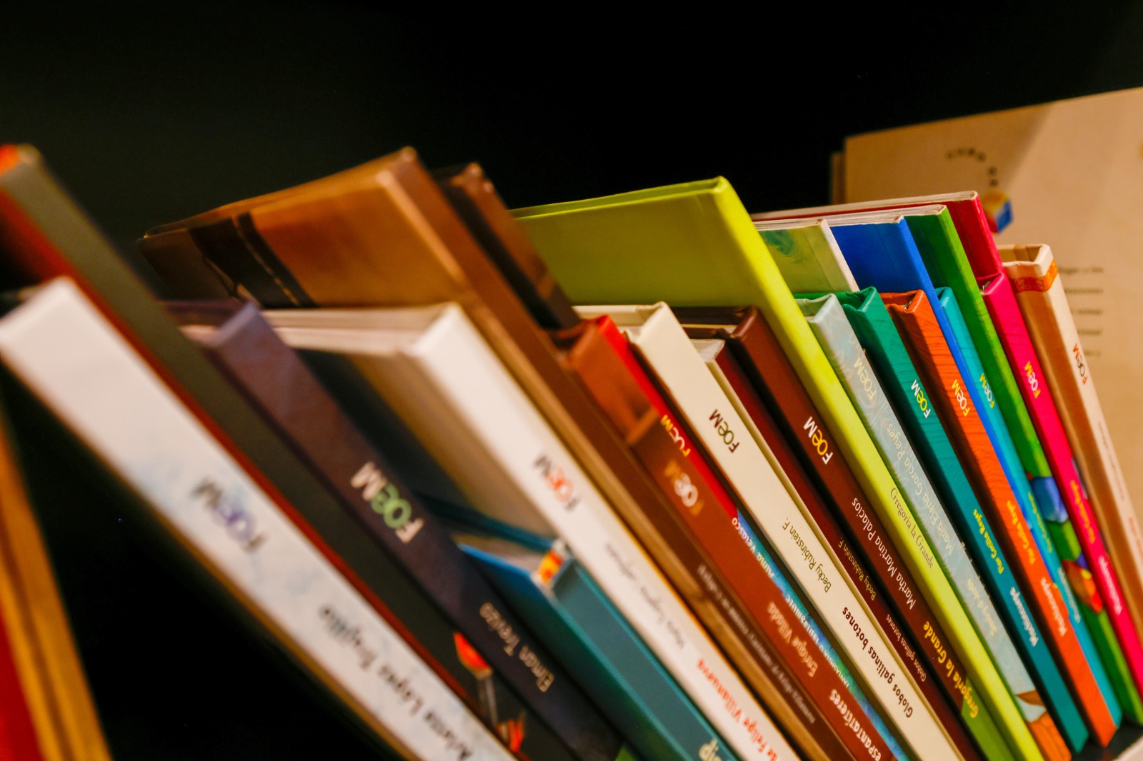 disfruta-lo-mejor-de-la-literatura-actual-en-coleccion-letras-del-foem