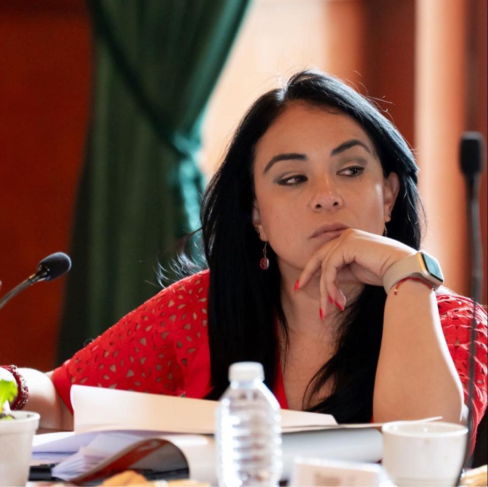 infiltrados-de-la-direccion-de-gobierno-de-toluca-hostigan-a-ciudadanos-dice-regidora