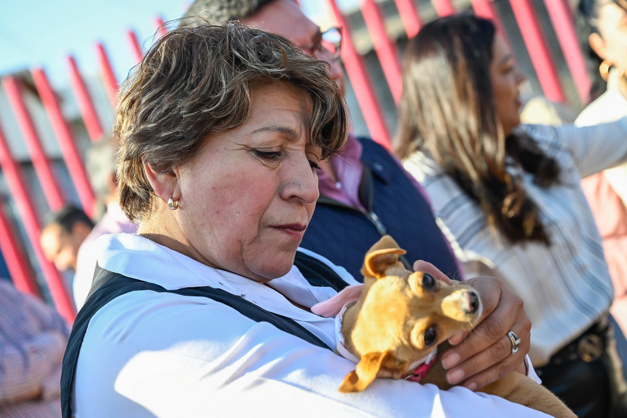 se-acabo-la-politica-de-exterminio-para-controlar-sobrepoblacion-animal-en-las-calles-del-edomex
