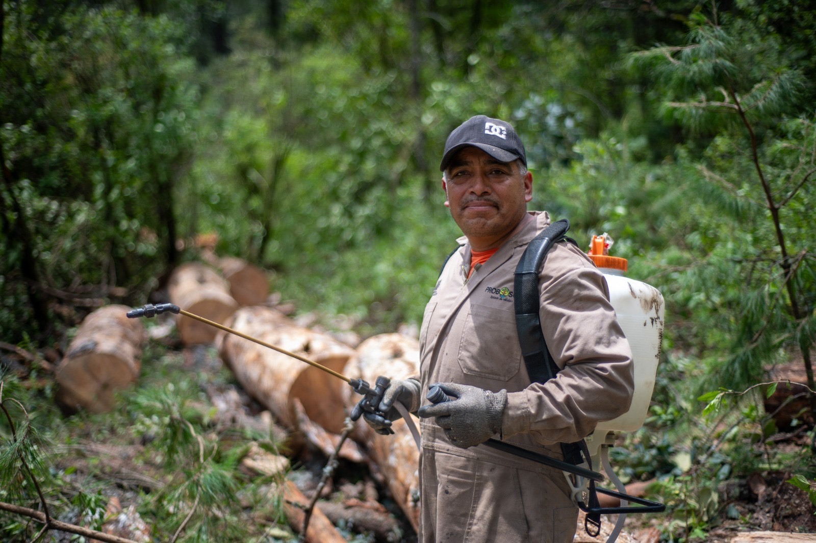 blindan-zona-boscosa-del-xocotepetl-contra-plagas-en-jocotitlan