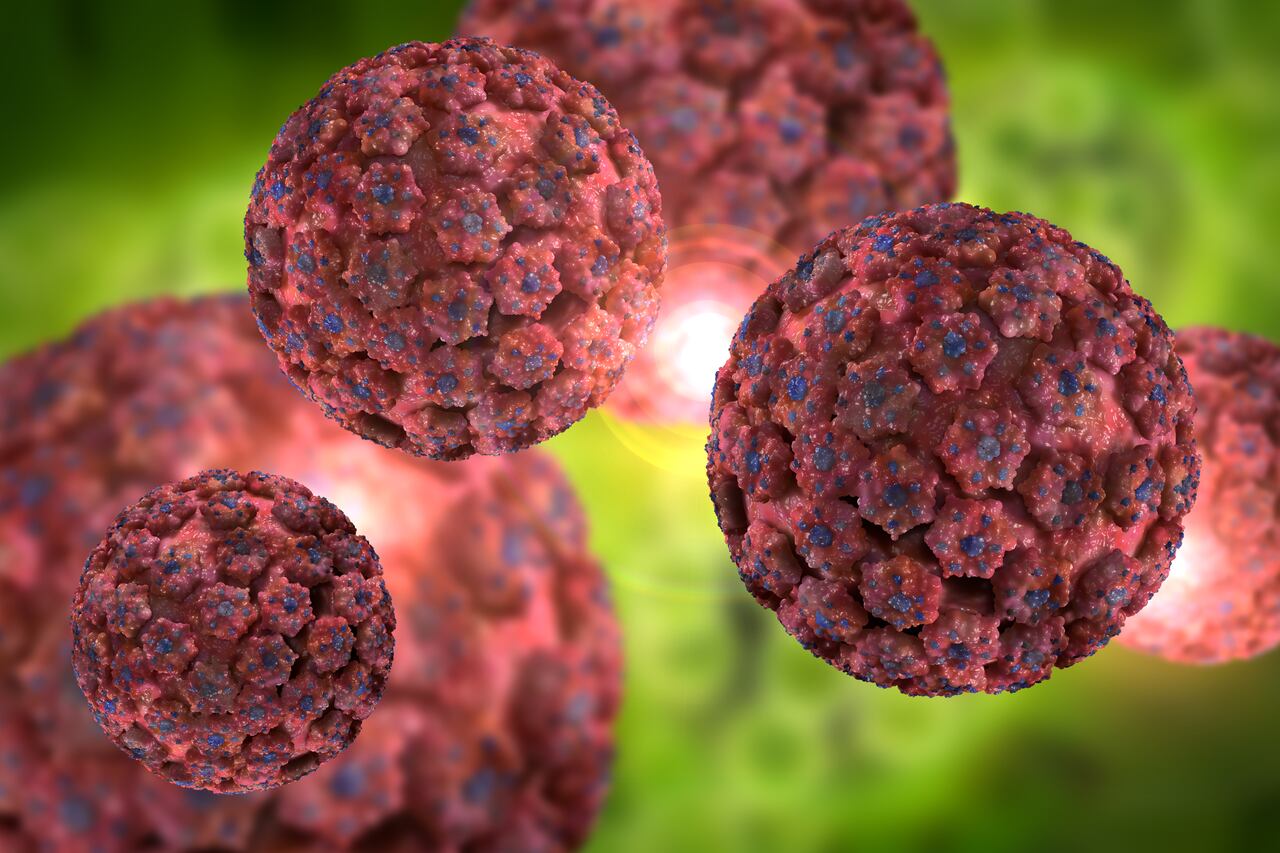 el-virus-del-papiloma-humano-y-su-impacto-economico
