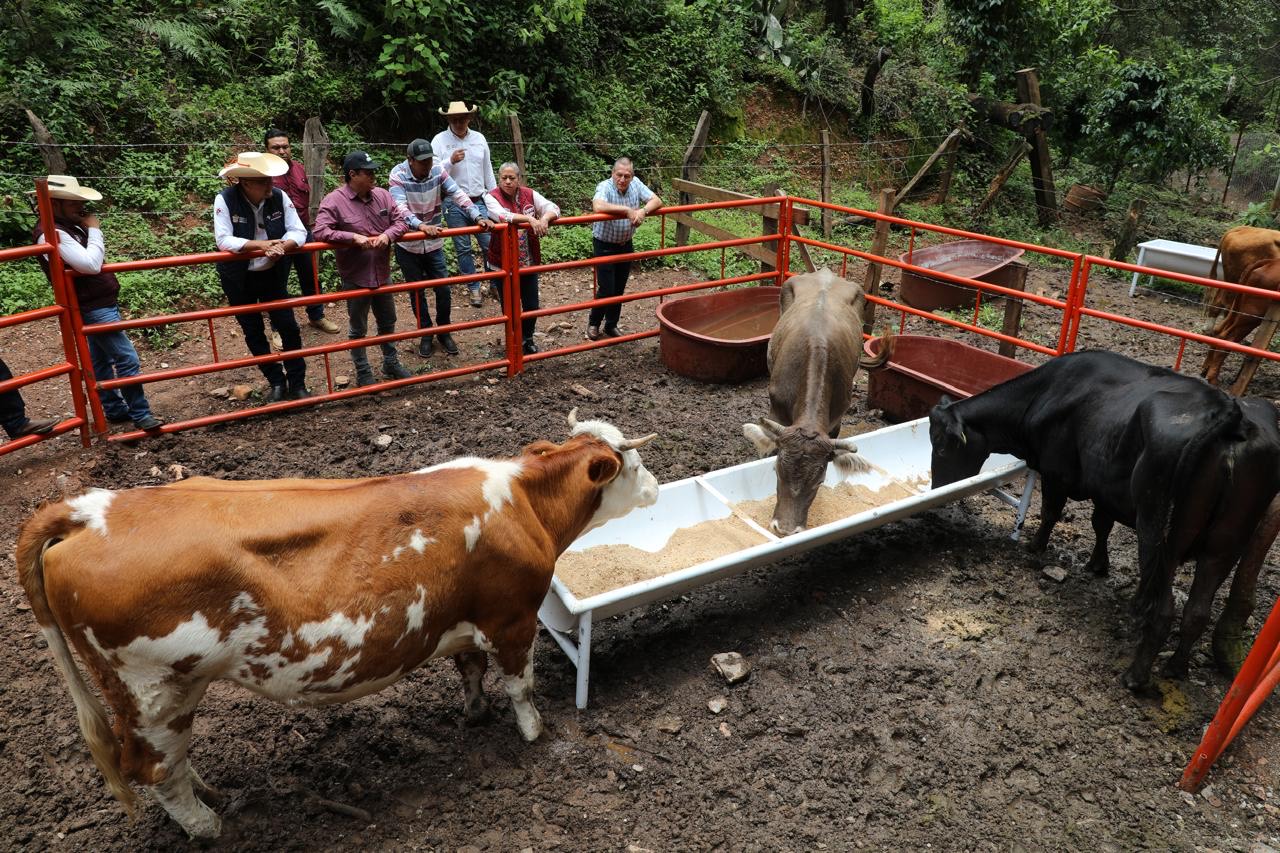 veterinarios-pilar-de-salud-animal-para-el-bienestar-humano-en-la-produccion-agropecuaria