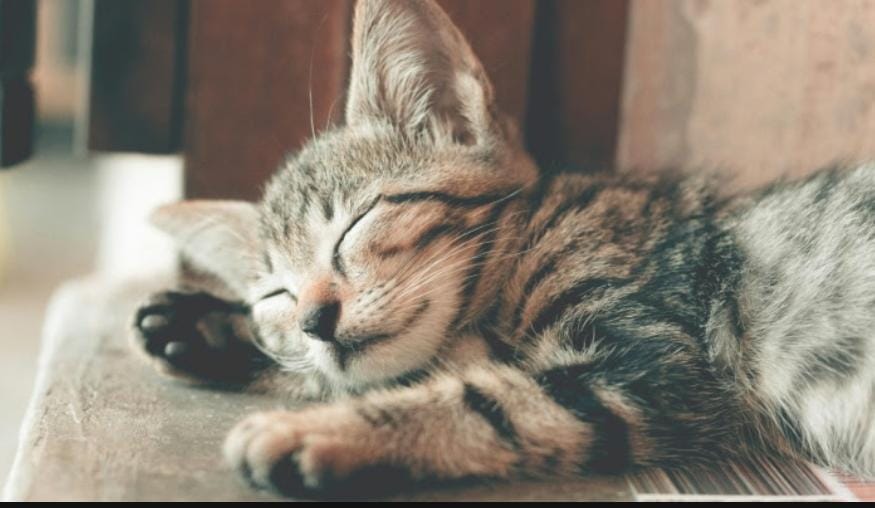 El descanso también es salud