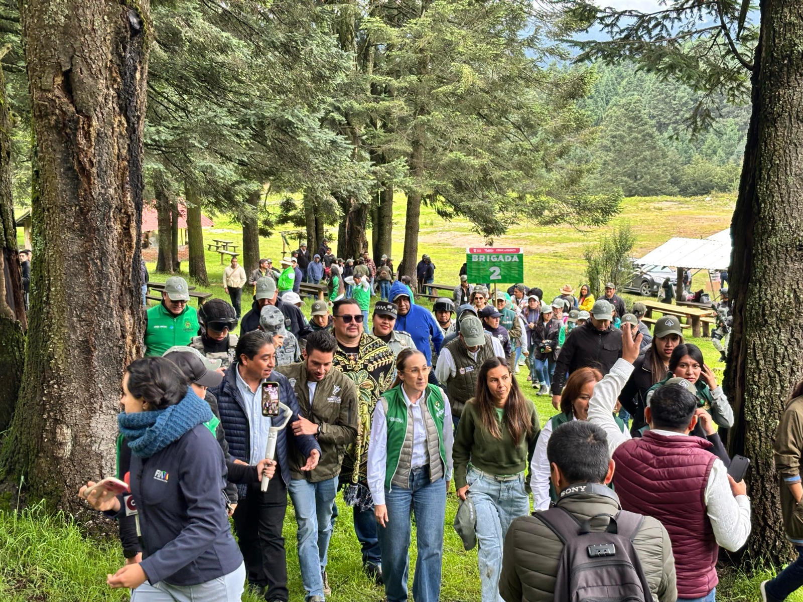 Veterinarios, pilar de salud animal para el bienestar humano en producción  agropecuaria