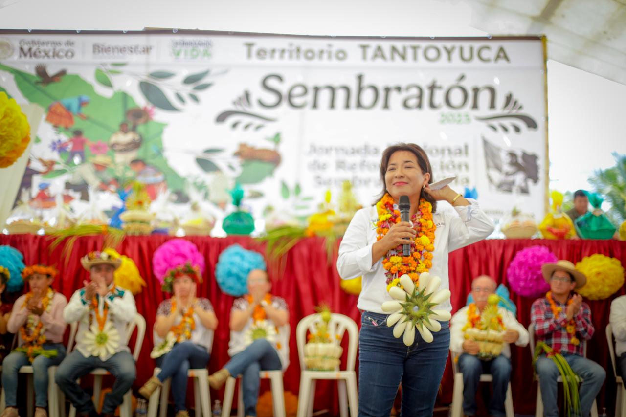 Inicia desde Veracruz Sembratón 2025. Jornada Nacional de Reforestación del programa Sembrando Vida