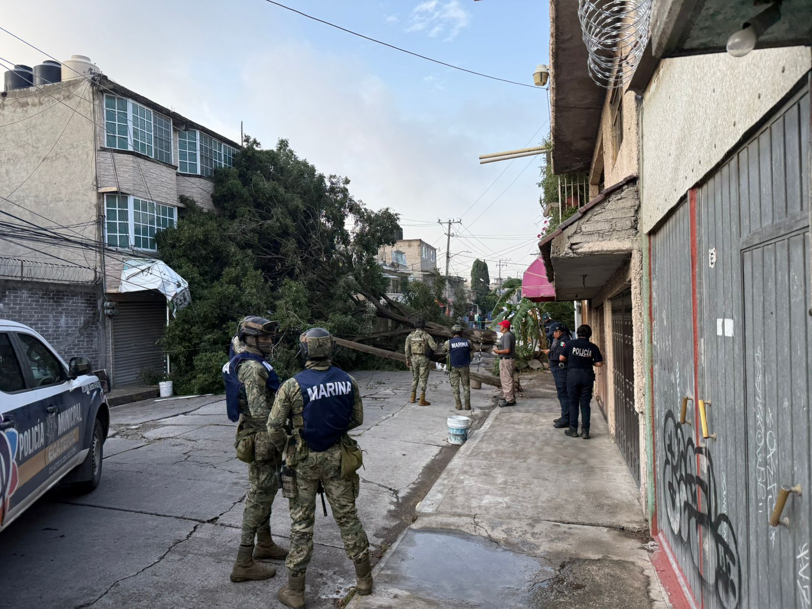 caida-de-arbol-y-dos-postes-danan-fachada-de-una-casa-y-dos-toldos-en-ecatepec