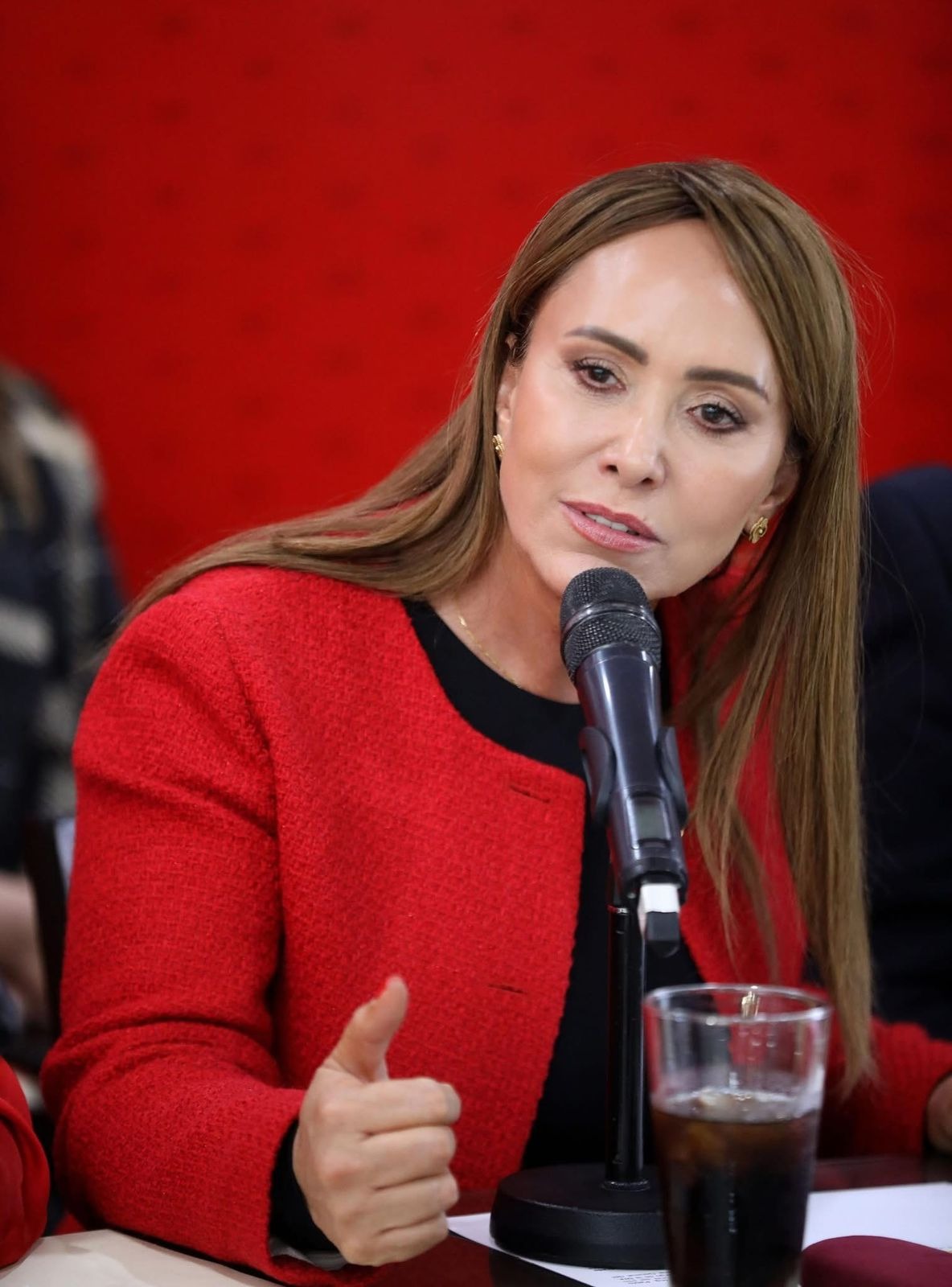 mexico-podria-someterse-al-miedo-y-al-autoritarismo-con-reforma-a-ley-de-amparo-dicen-priistas