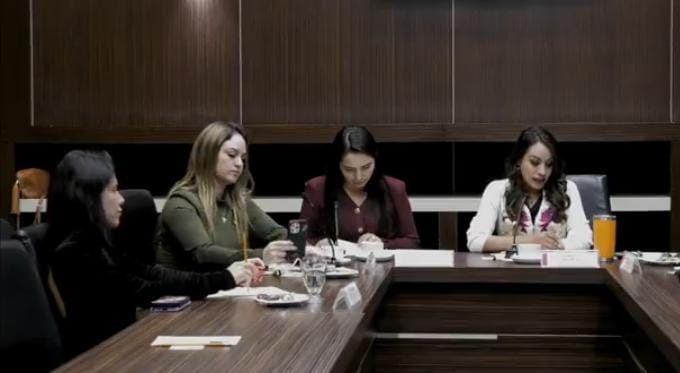 Se enfilan 3  aspirantes  a presidir  la Codhem;  ninguno   es activista