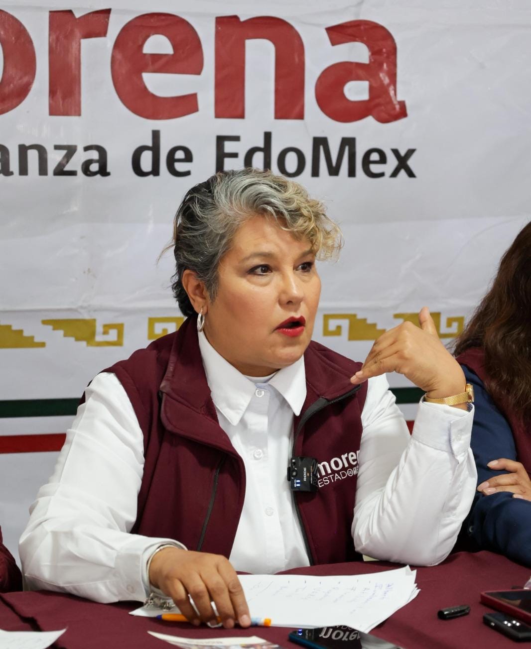 Congruencia  pide Luz Ma. Hernández a morenistas: no reelección en cargos de elección popular
