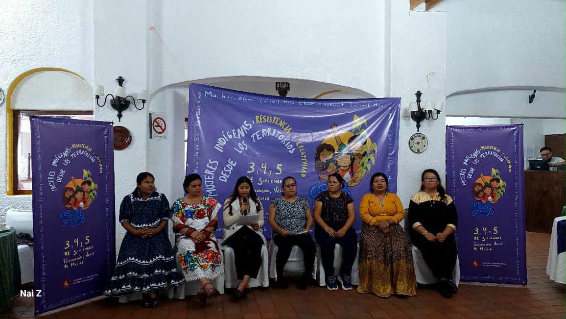 sin-mujeres-indigenas-no-habra-democracia-en-mexico-afirma-la-anpmi
