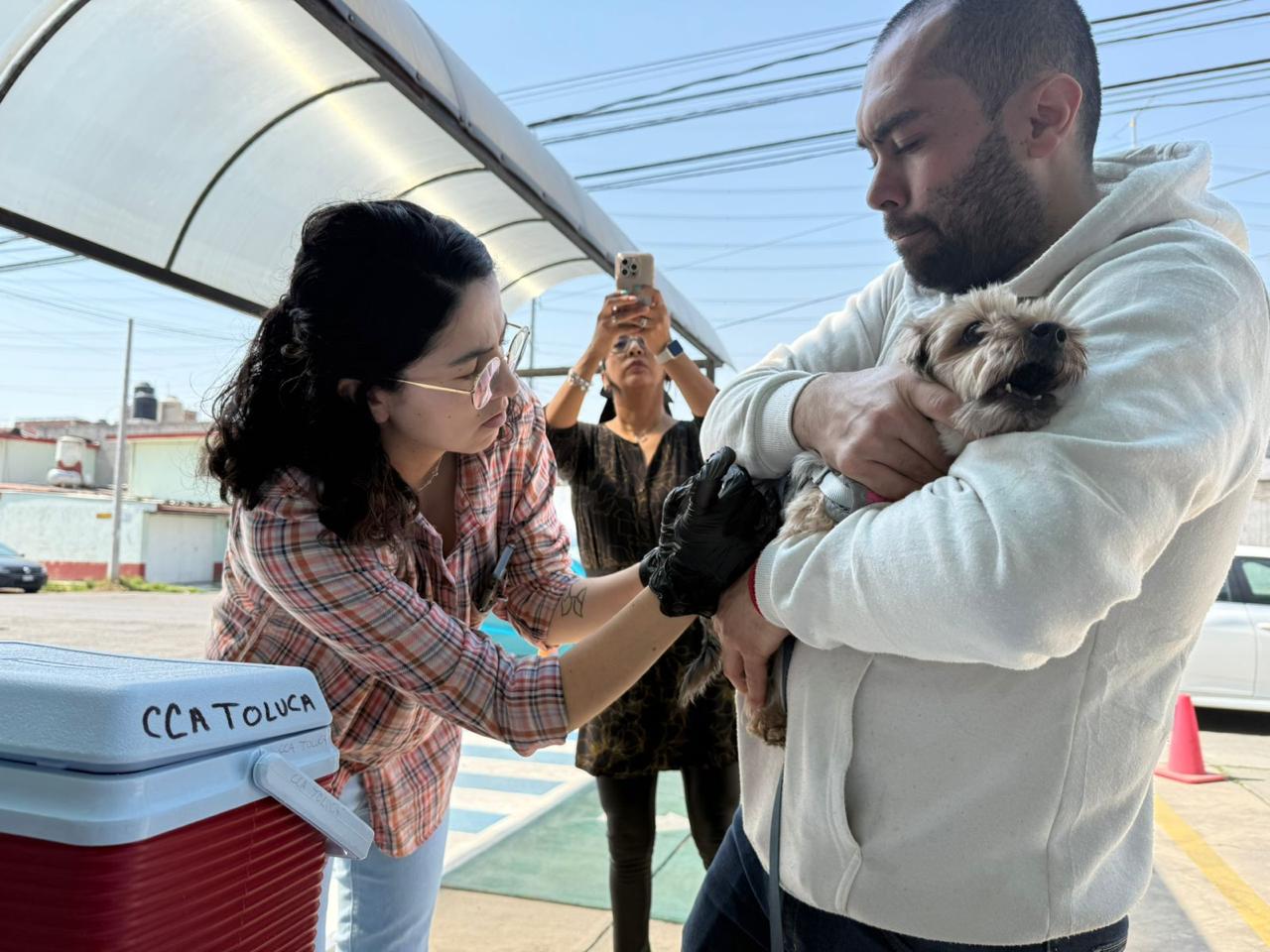 Habrá jornada gratuita de esterilización a perritos y michis en San Pablo Autopan este jueves