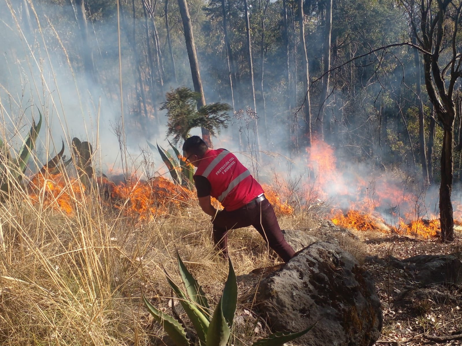 21-incendios-forestales-se-han-registrado-en-toluca-durante-2025