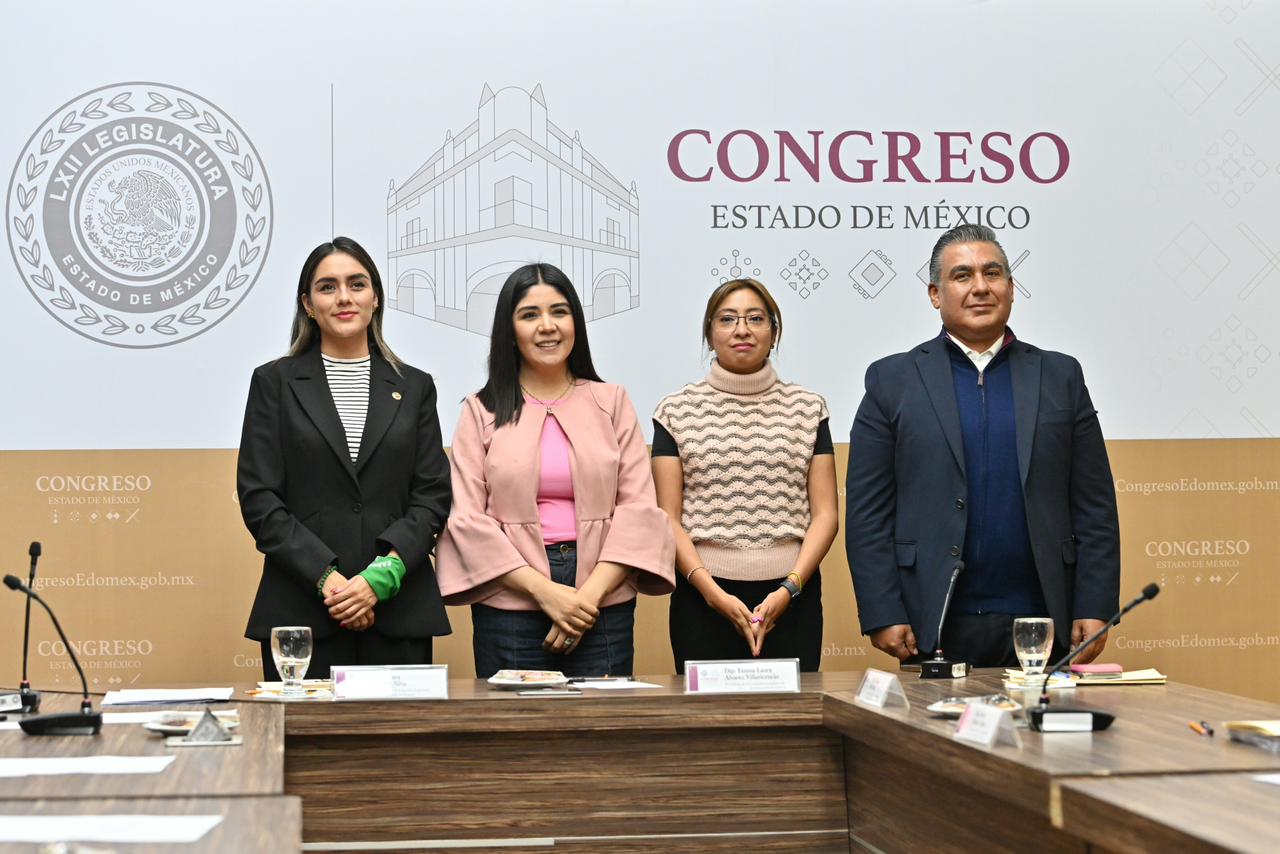 en-suspenso-la-regulacion-del-aborto-en-edomex-se-ampliara-la-discusion