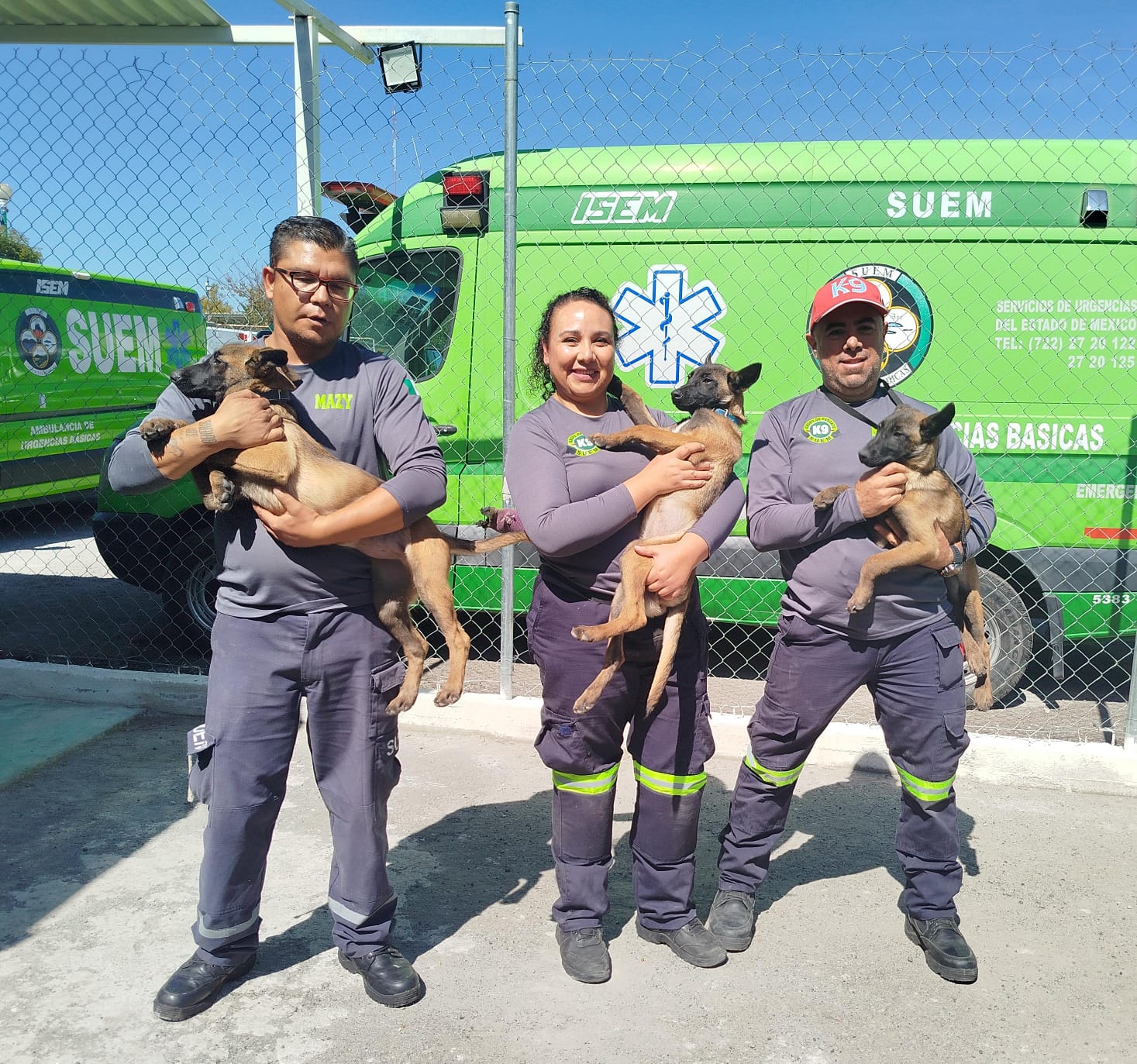 ¿Qué nombre  les pondrías  a 3 perritos  rescatistas?  SUEM pide  participación  ciudadana