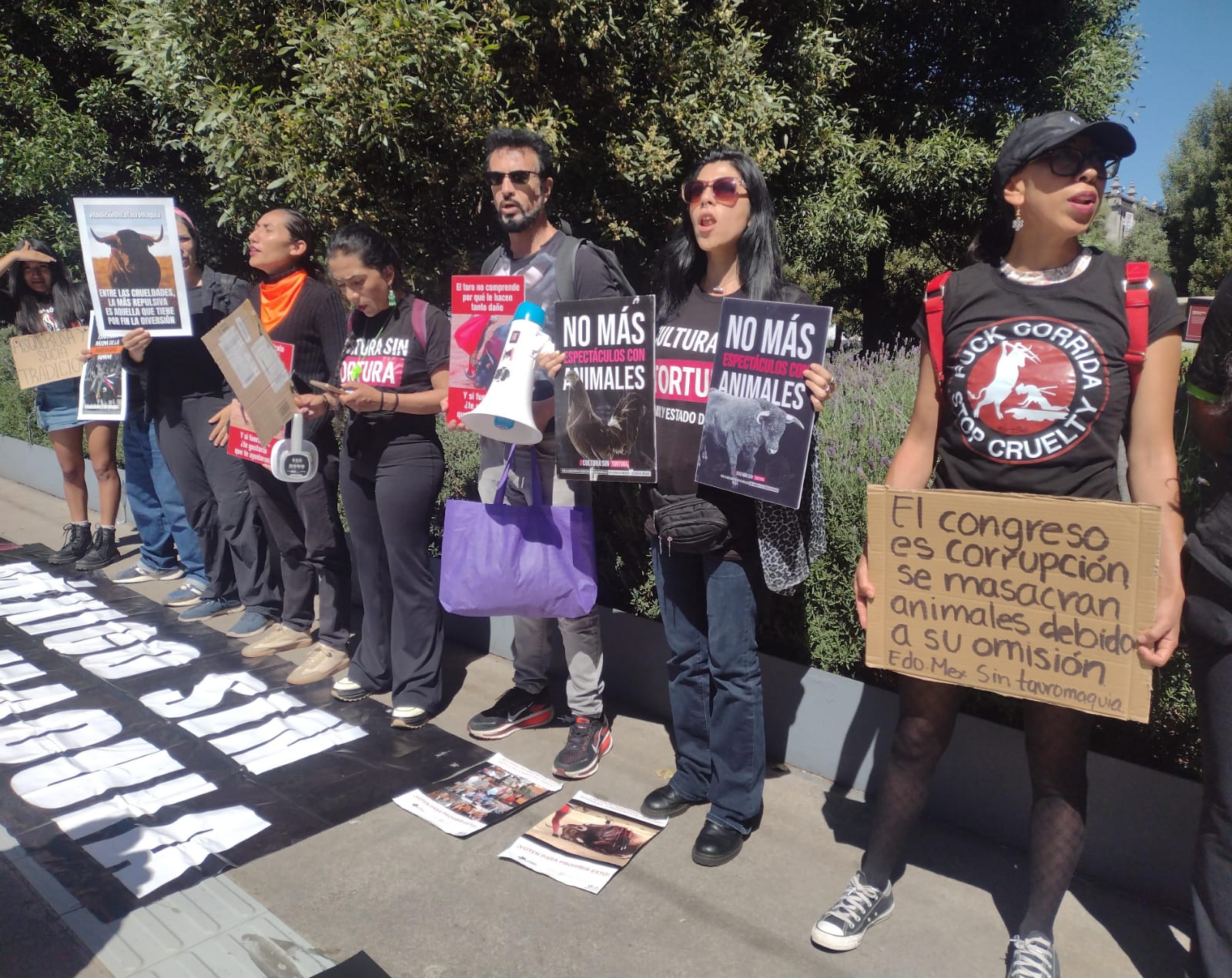 Diputados   evaden la  iniciativa  ciudadana  para frenar  corridas  de toros,  denuncian  activistas