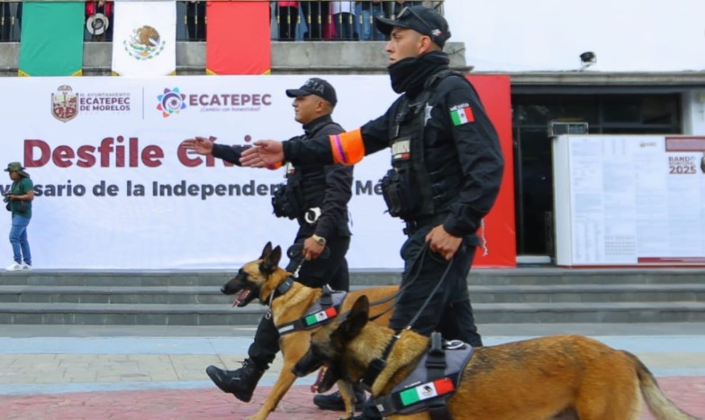 Proponen facultar a policías municipales para iniciar labores de investigación delincuencial