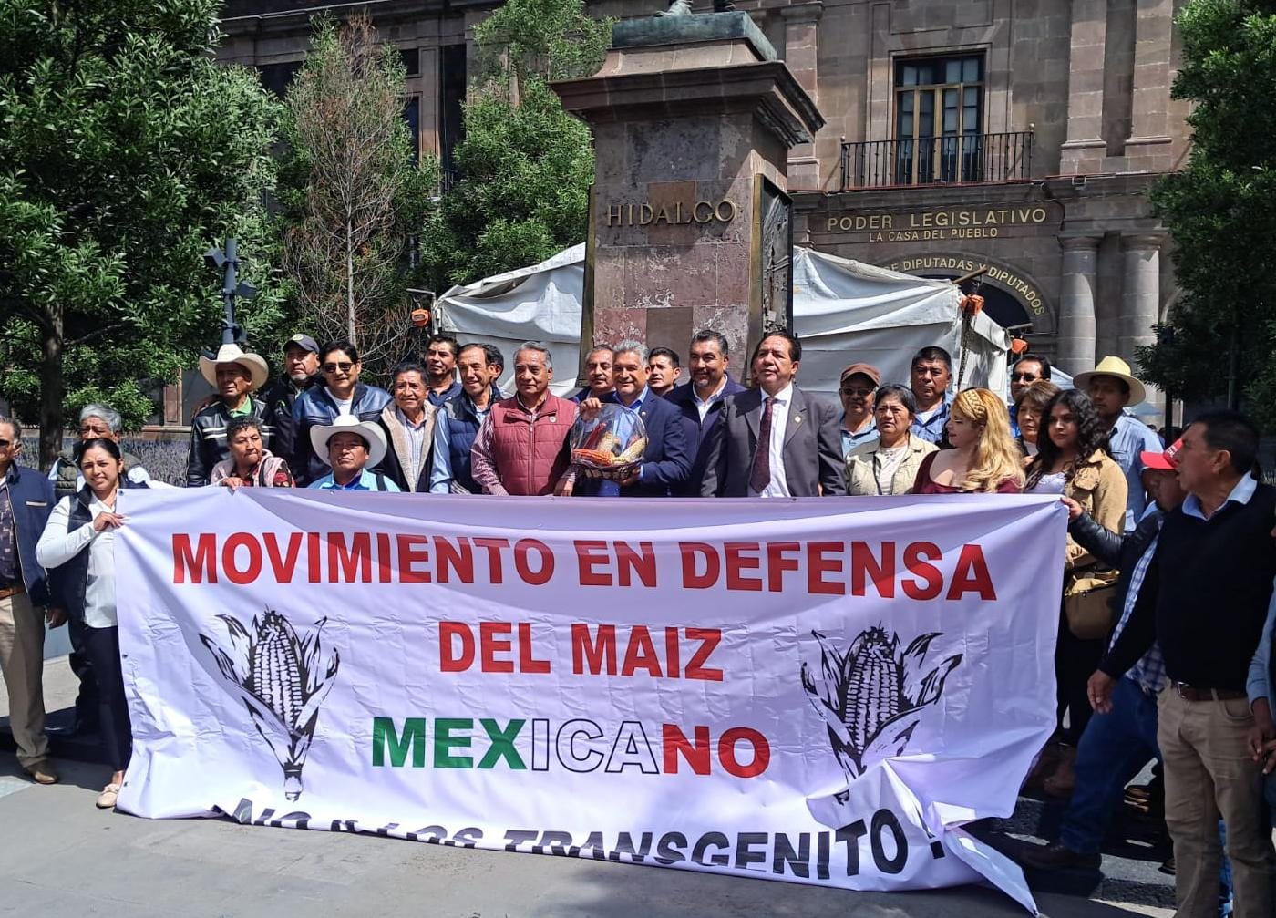 podrian-enfrentar-hasta-20-anos-de-carcel-quienes-distribuyan-o-cultiven-maiz-transgenico