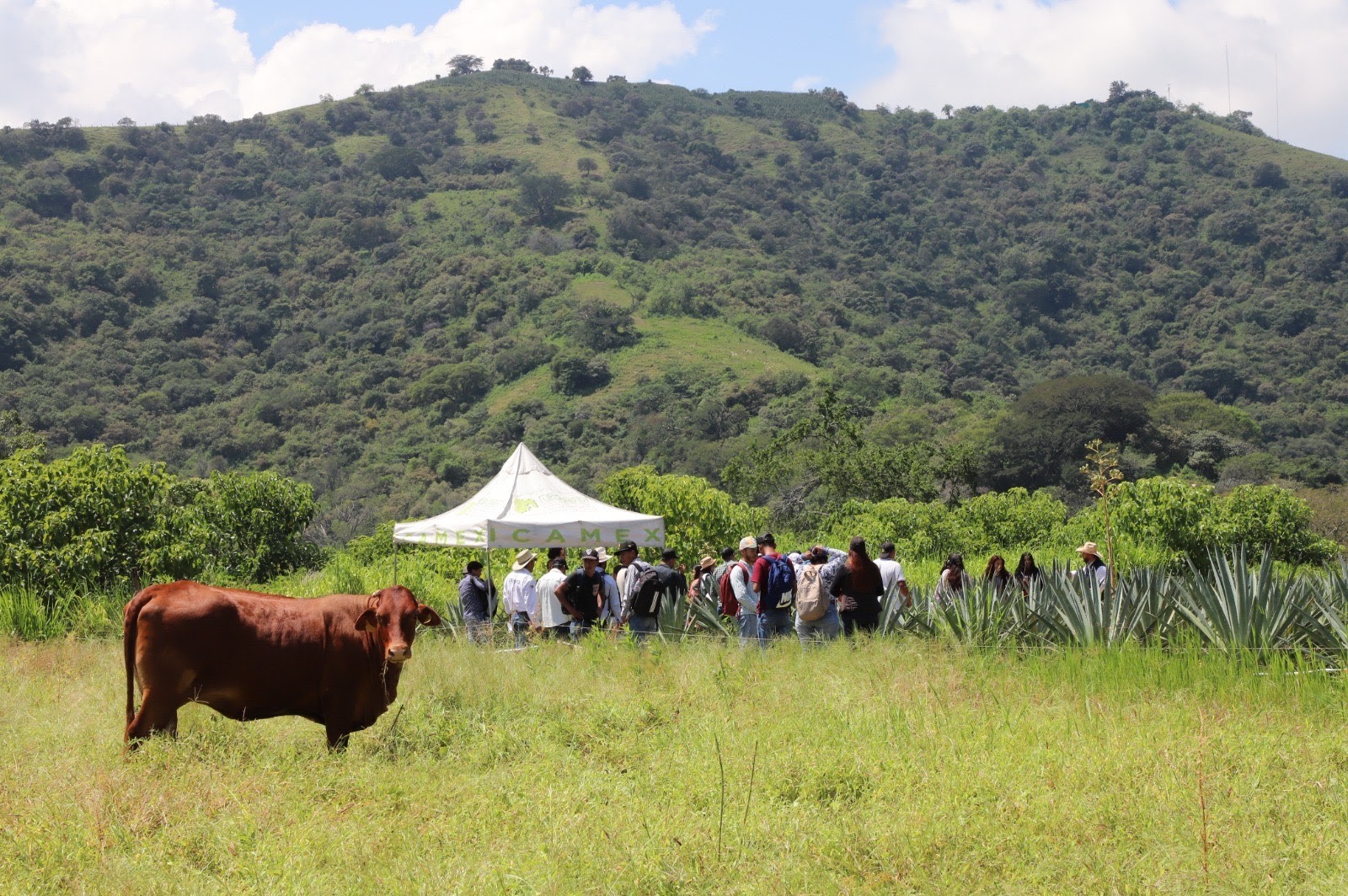 promueven-la-innovacion-tecnologica-agropecuaria-entre-las-y-los-productores-mexiquenses