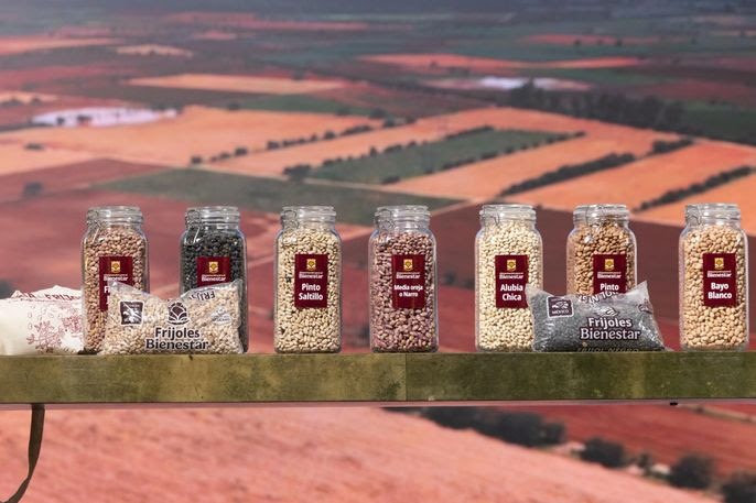 Sheinbaum lanza Frijoles Bienestar para apoyar producción y hacer más accesible su consumo