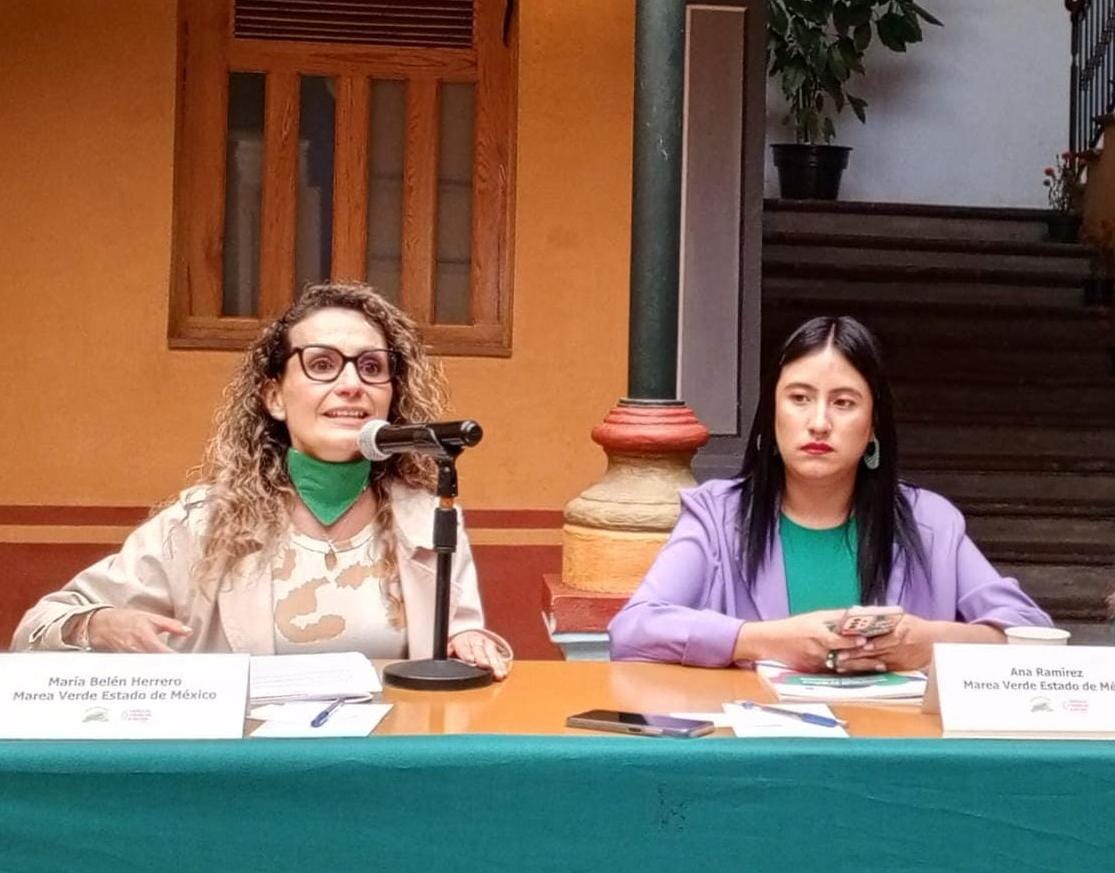 aun-lejos-de-concretarse-interrupcion-del-embarazo-por-falta-de-infraestructura-a-pesar-de-la-despenalizacion