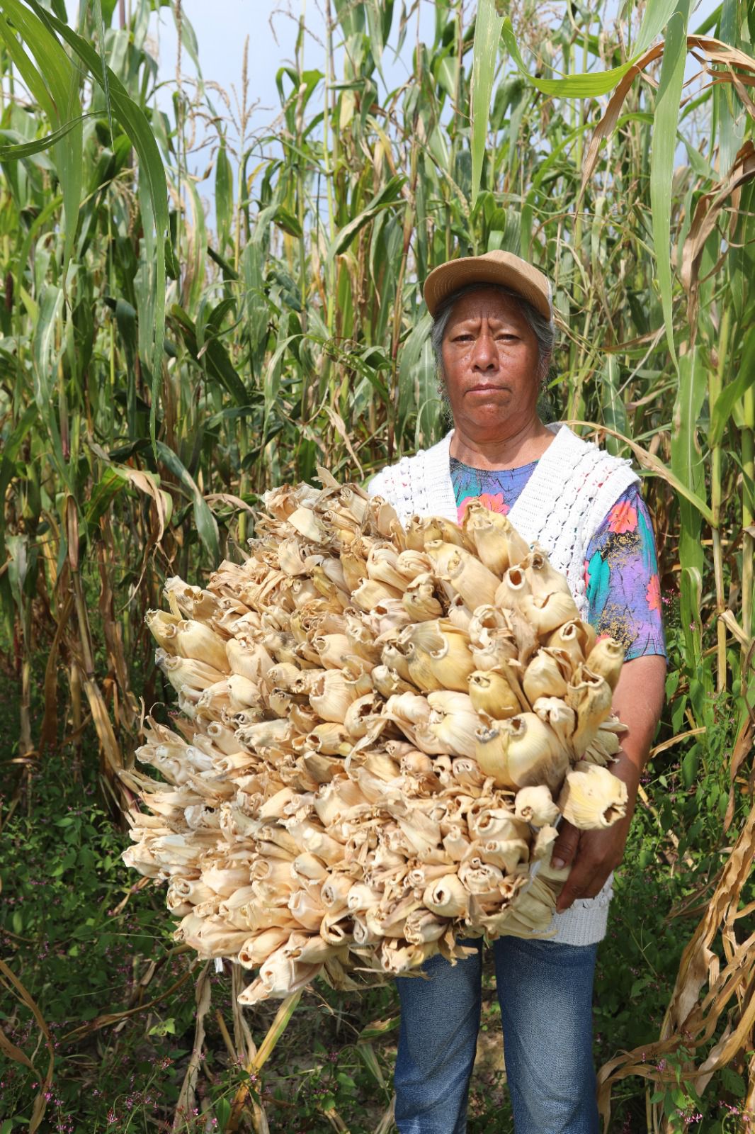 se-acabo-el-abandono-del-hospital-oncologico-de-ecatepec-lo-manejara-imss-bienestar
