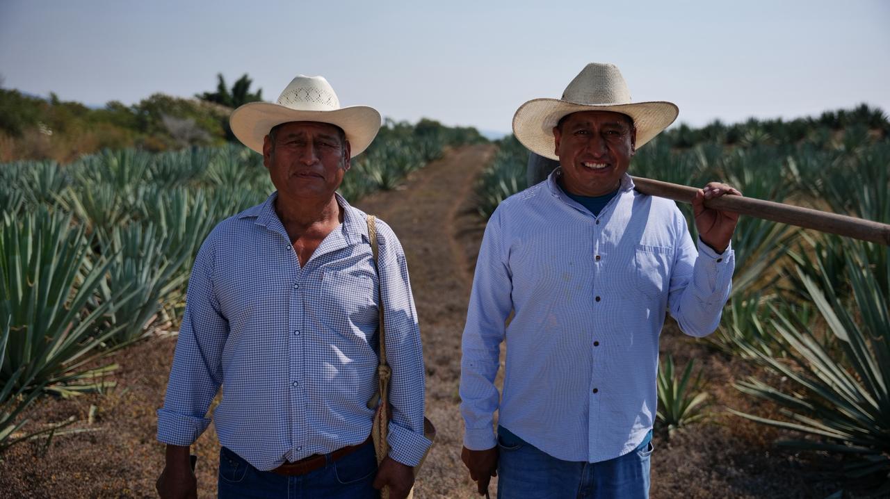 protegidos-por-la-ley-mezcaleros-del-edomex-denominacion-de-origen-ya-es-oficial
