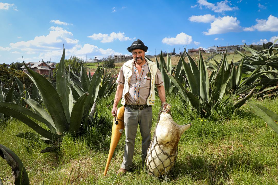 impulsa-gem-comercio-de-productores-indigenas
