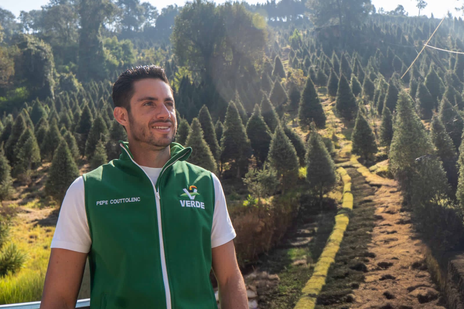 Couttolenc da banderazo a venta legal de árboles navideños naturales en  Xonacatlán