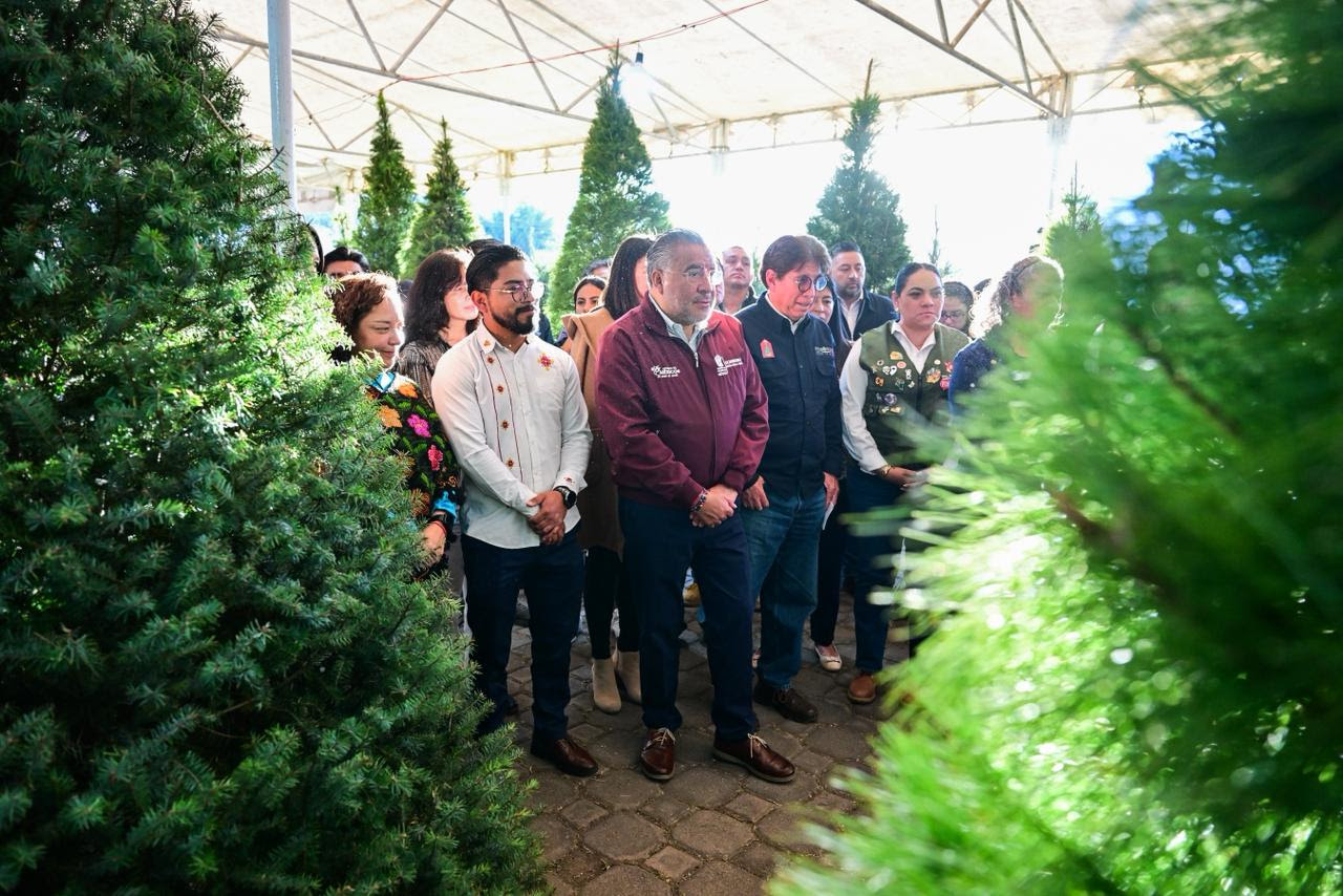 invita-gobierno-del-edomex-a-la-expo-navidad-forestal-2025-adquiere-adornos-y-tu-arbolito-natural