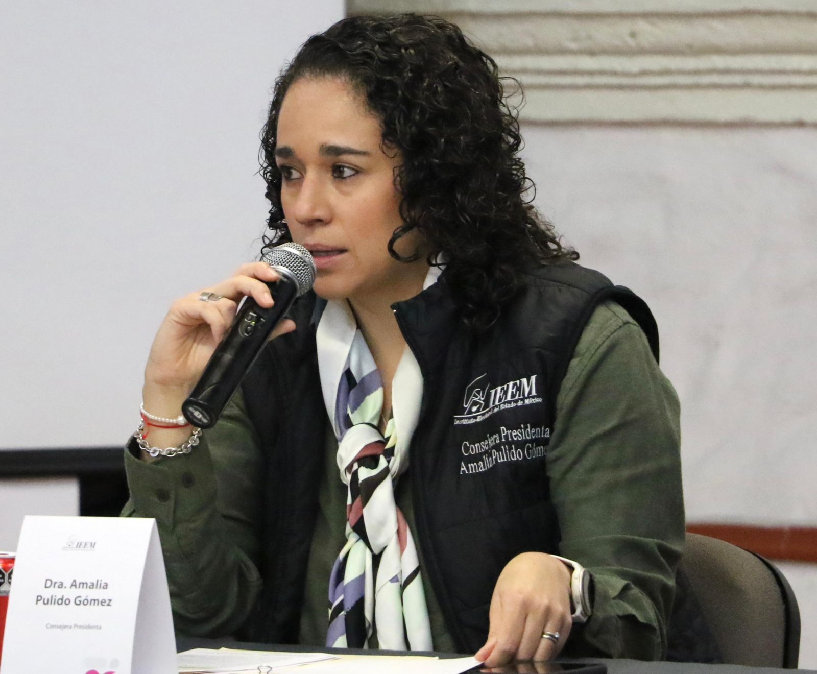 Expone Amalia Pulido Gómez a estudiantes de Querétaro cómo inciden OPLEs para salvaguardar la democracia