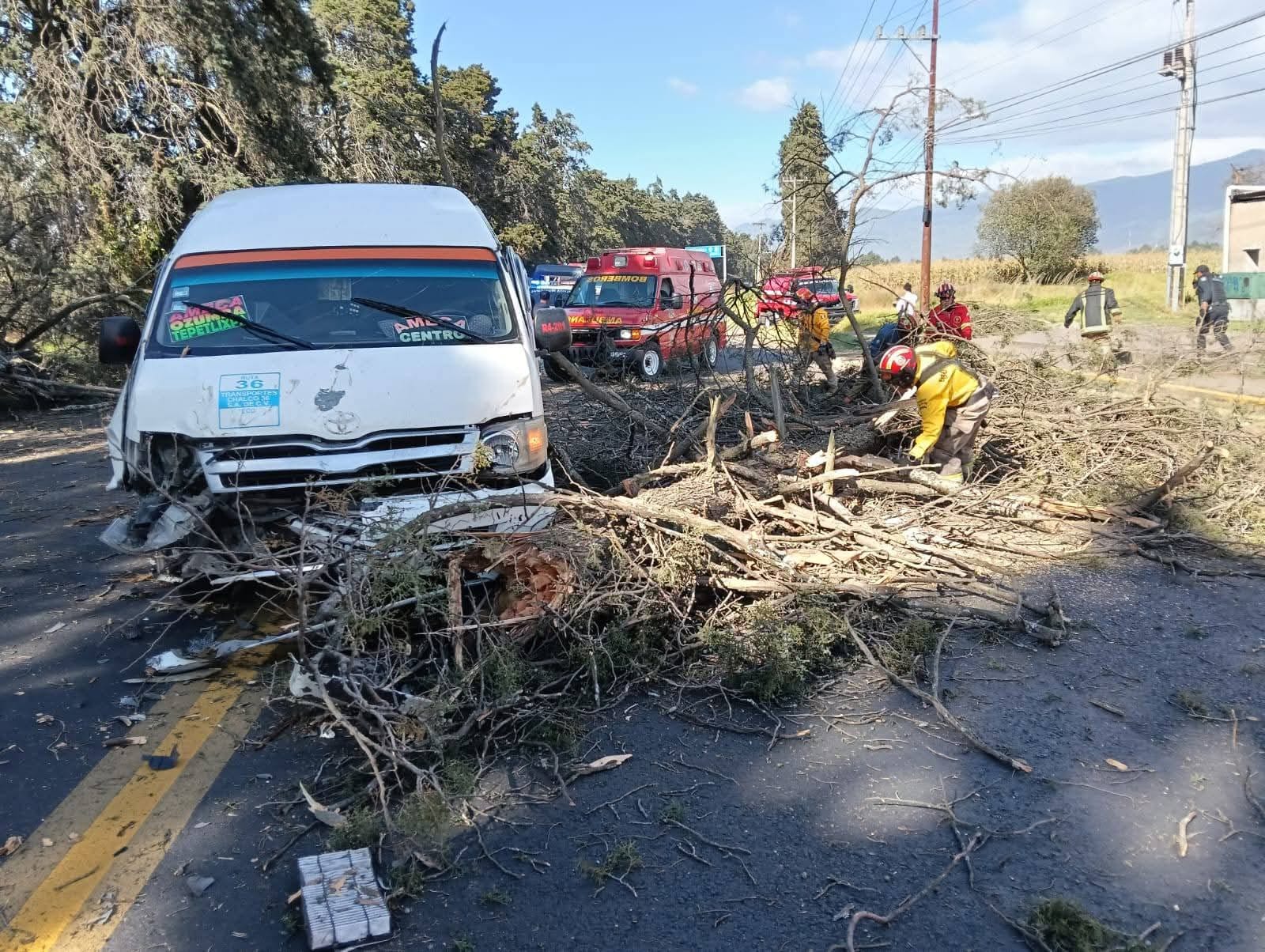 rafaga-de-vientos-derriban-arbol-y-provoca-choque-en-el-que-ocho-personas-resultan-lesionadas