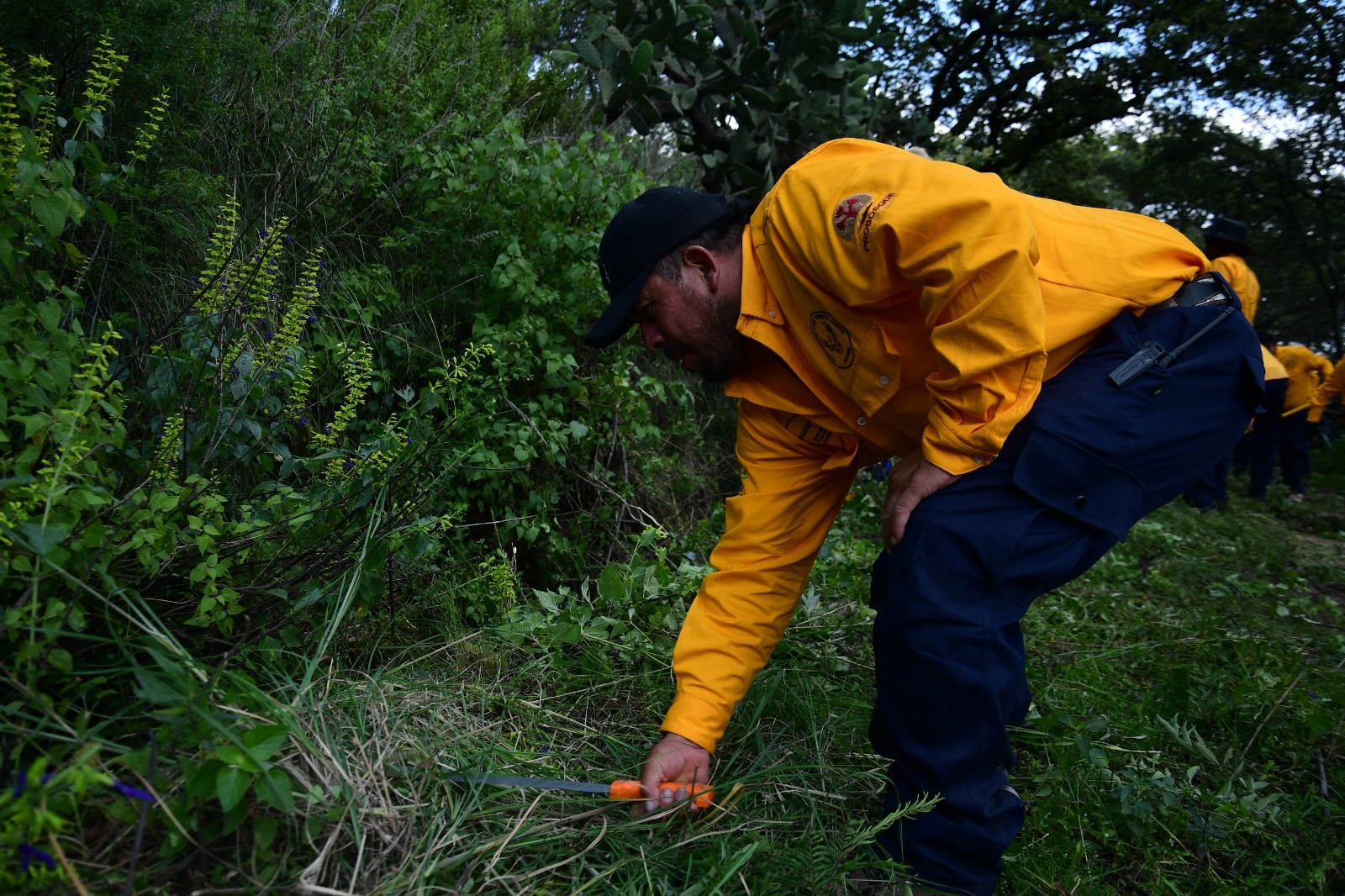 refuerzan-la-prevencion-de-incendios-en-bosques-del-edomex