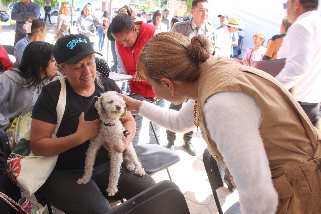 Esterilización  gratuita de  michis y lomitos  en el Parque  Alameda 2000  de Toluca este  10 de diciembre