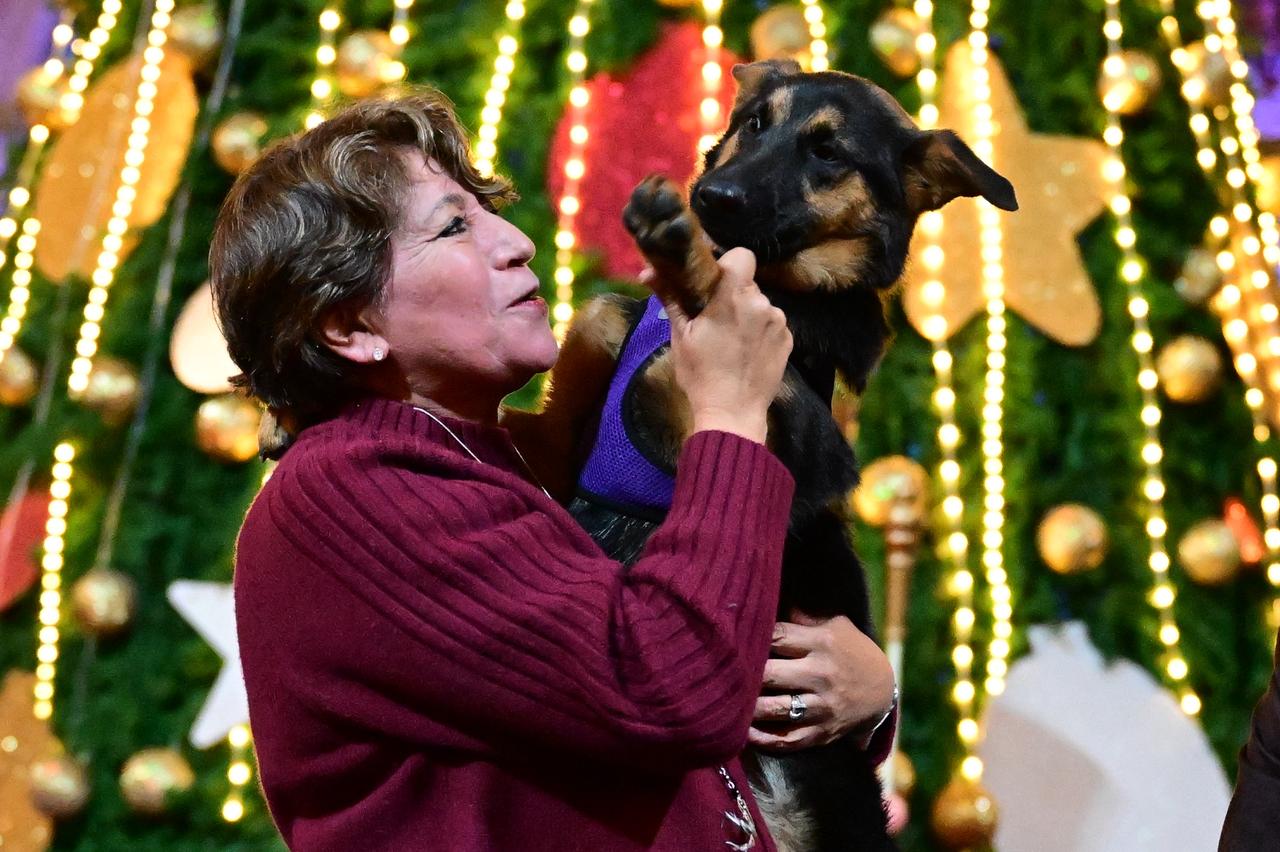 mexiquenses-donaron-40-toneladas-de-alimento-para-michis-y-lomitos-rescatados