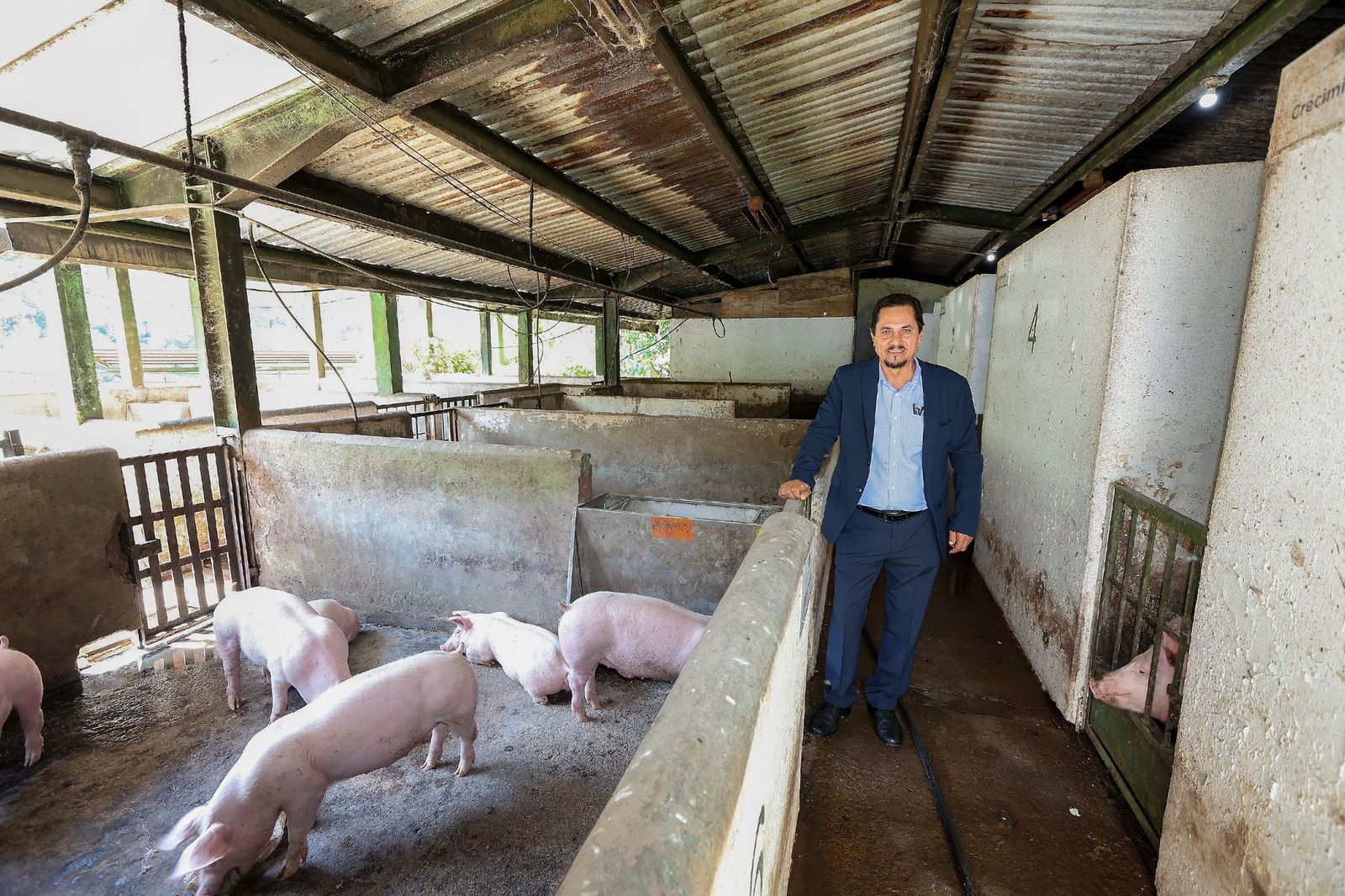 desarrolla-academico-de-la-uaemex-modelo-para-prevenir-impacto-economico-de-la-peste-porcina-africana-en-mexico