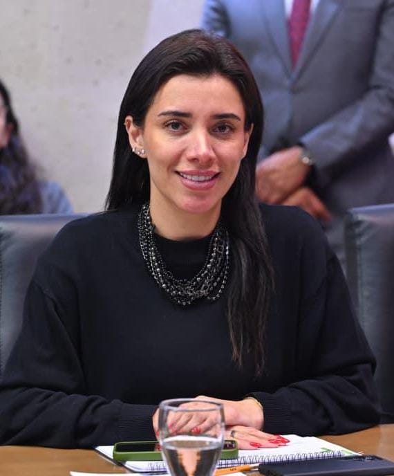 impostergable-digitalizacion-del-gobierno-para-mejorar-operaciones-itzel-perez