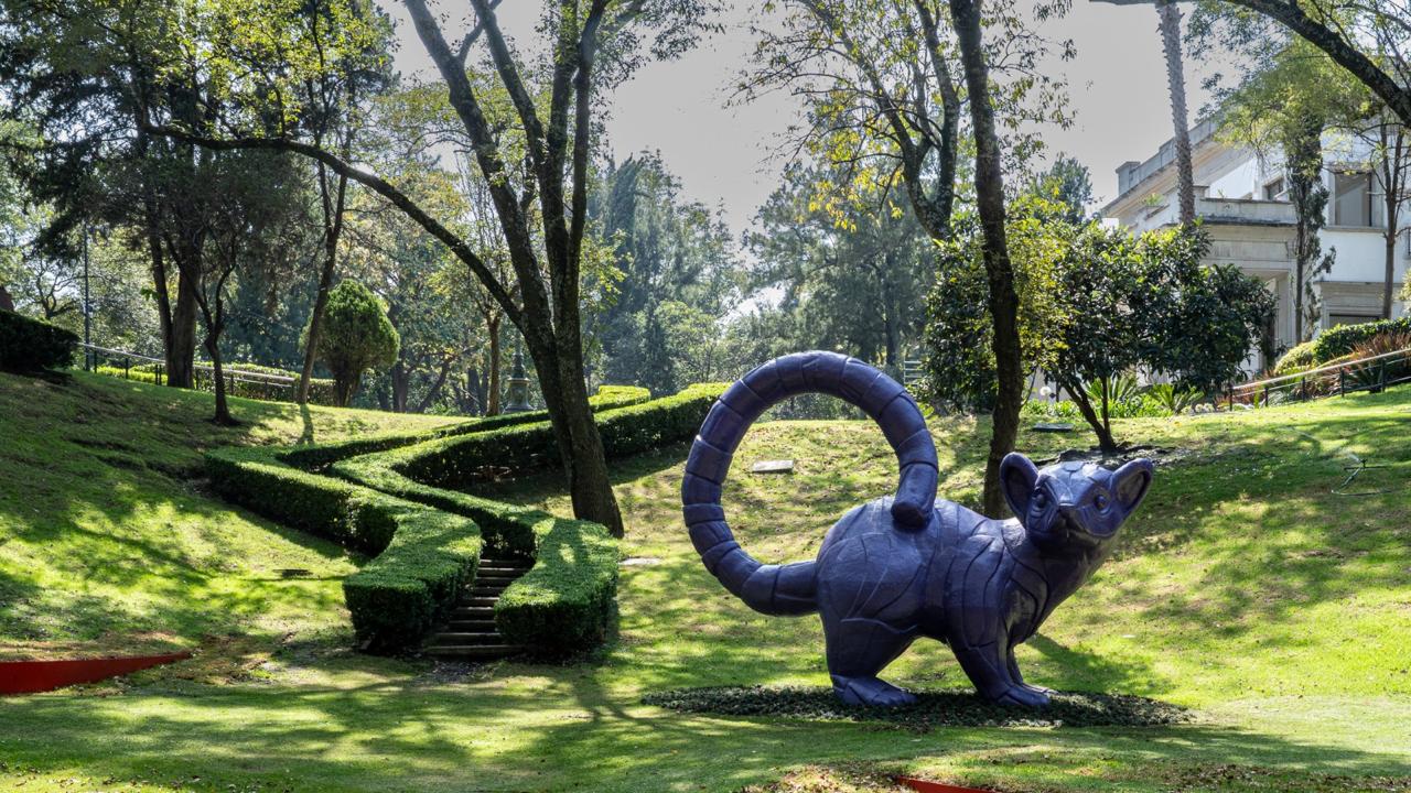 Complejo Cultural Los Pinos: exploración del conocimiento, el arte y la identidad.