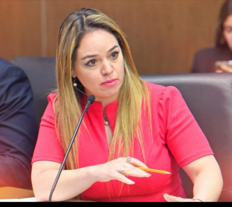 Piden reforzar  la vigilancia  epidemiológica  ante avance de  "mega gripa"  en el mundo