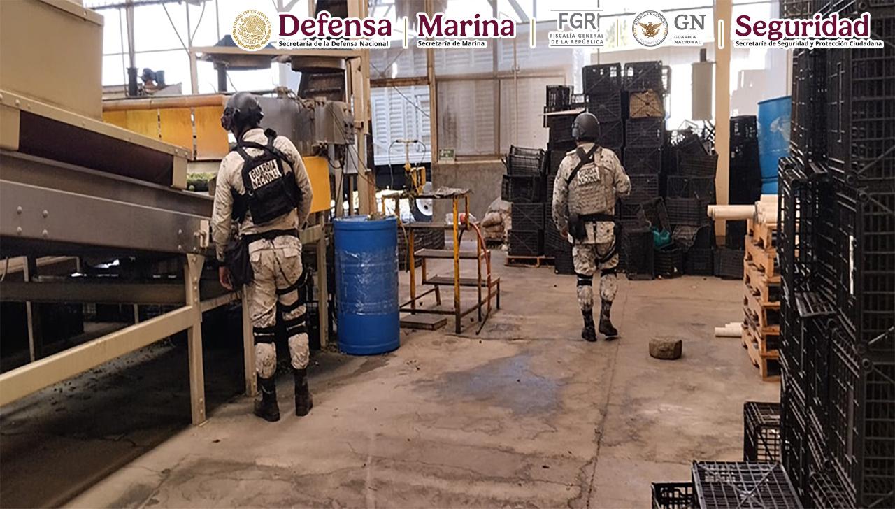 Plan Michoacán por la Paz y la Justicia: 278 detenidos y más de 700 kilos de droga asegurados