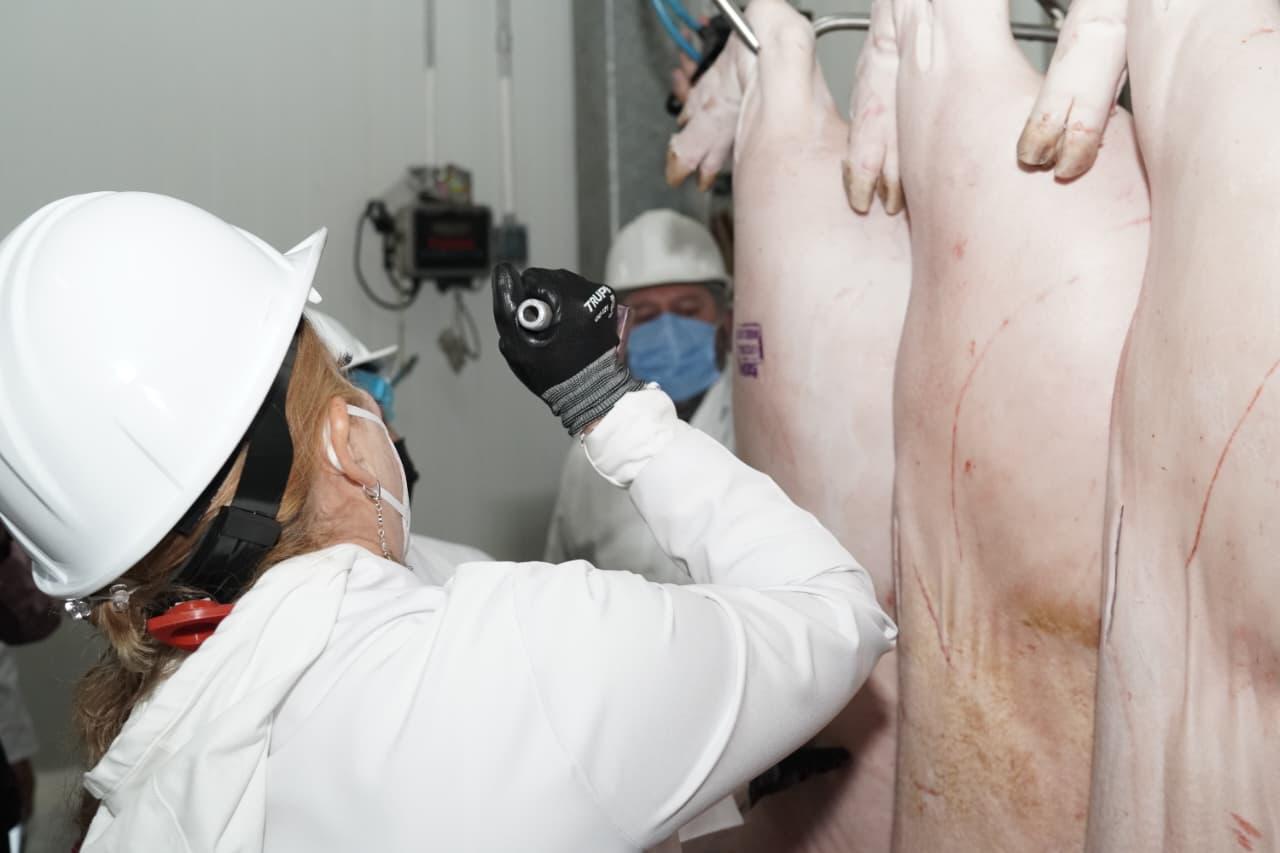 se-mantiene-el-monitoreo-sanitario-a-los-rastros-para-prevenir-dispersion-del-gusano-barrenador