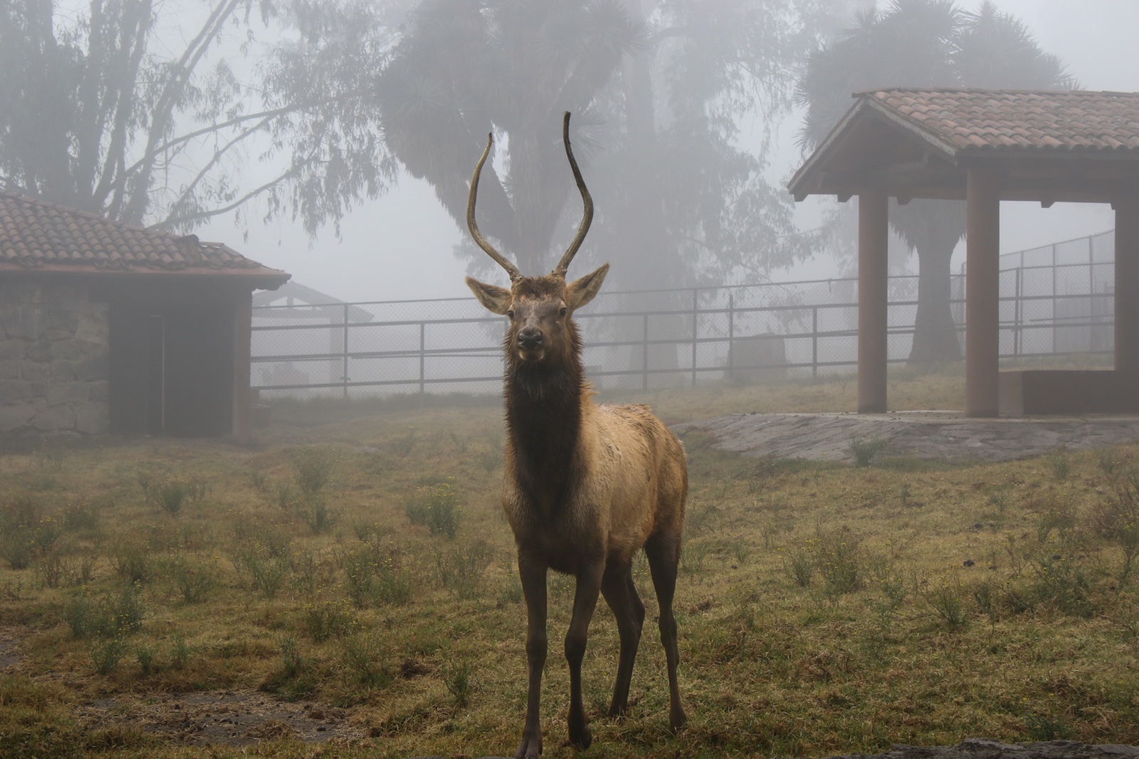 bajo-cuidado-minucioso-residentes-de-zacango-ante-bajas-temperaturas