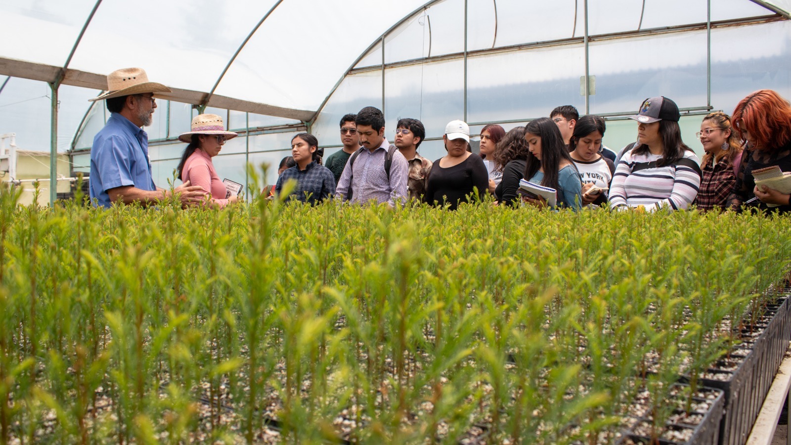 Continúa el programa Bosque-Escuela para crear conciencia forestal en menores del Edomex