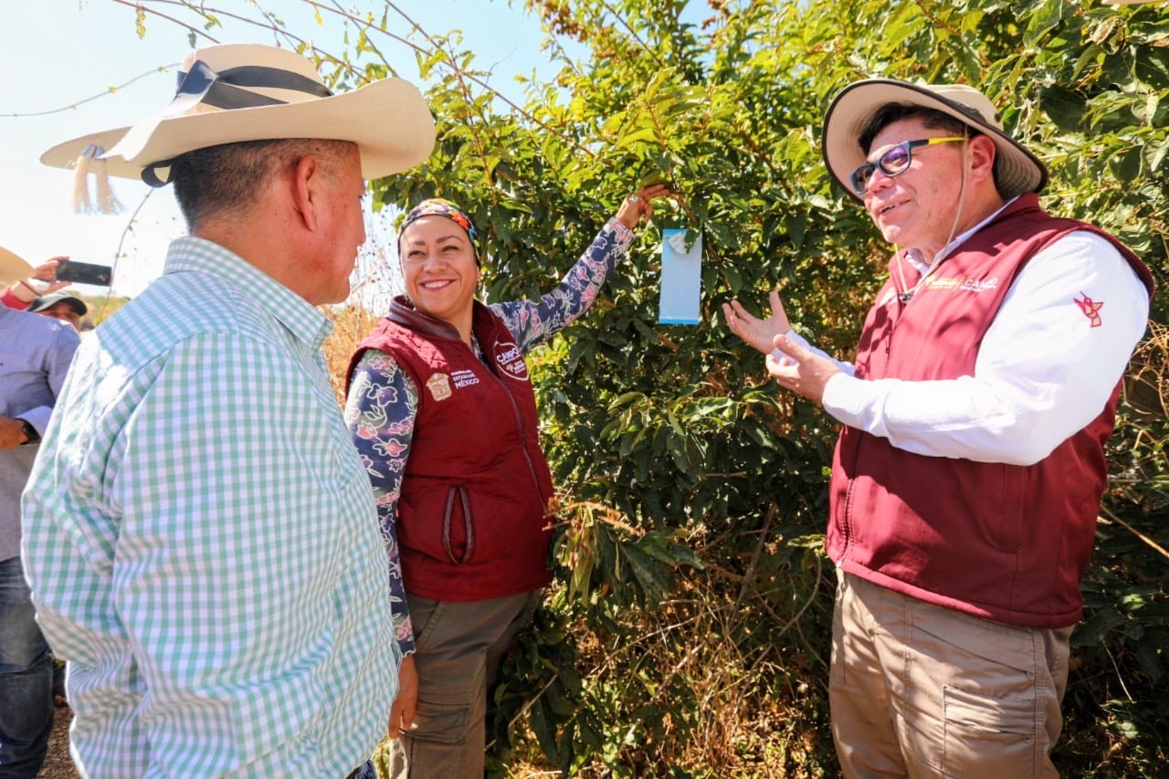 confirman-primer-caso-de-gusano-barrenador-de-ganado-en-edomex