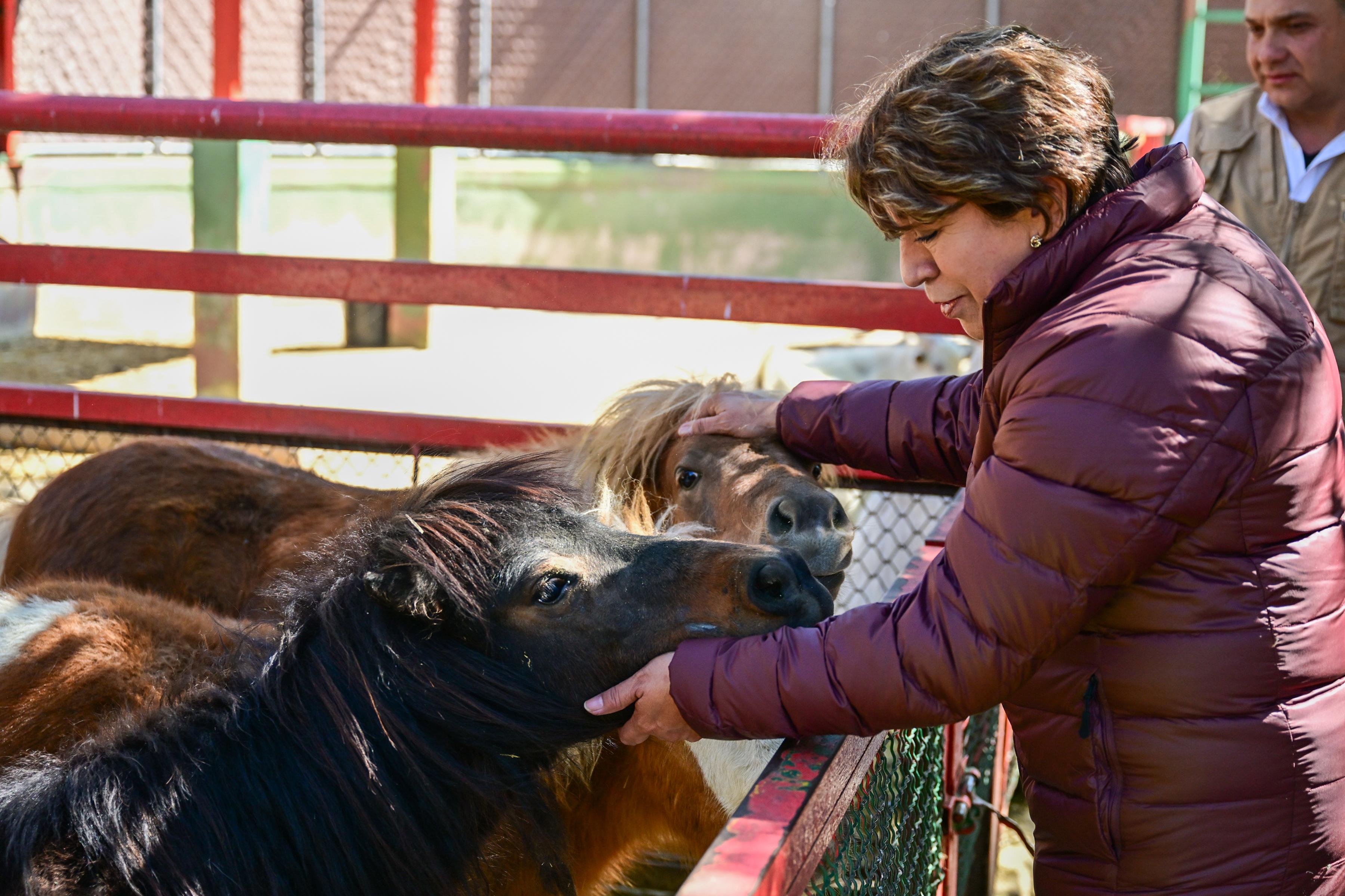 reconoce-la-gobernadora-conservacion-animal-en-el-parque-del-pueblo-de-ciudad-neza