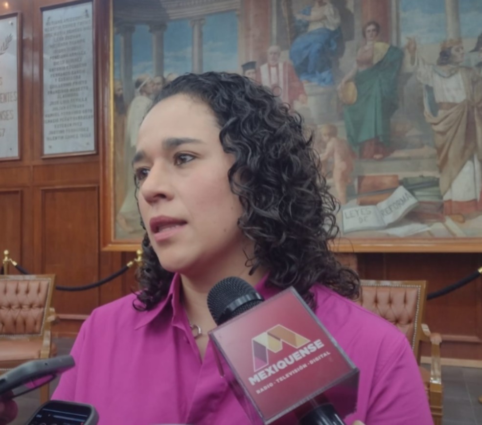 insuficiente-regulacion-contra-la-violencia-politica-de-genero-en-redes-urge-profundizar-amalia-pulido